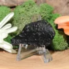Tektite-Raw