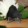 Tektite-Raw