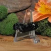 Tektite-Half Polished