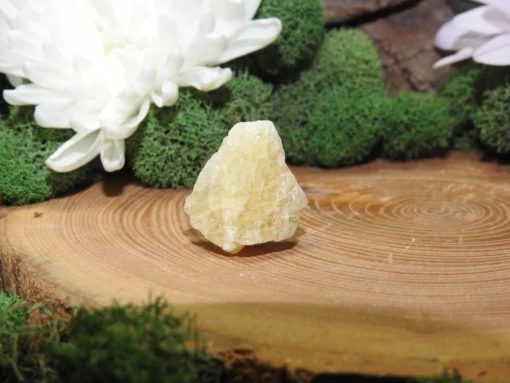 Golden Danburite-Raw - Image 2