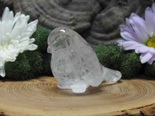 Crystal Quartz Bird Carving - Image 2