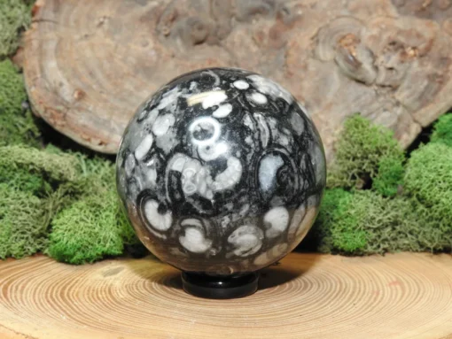 Fossil Sphere