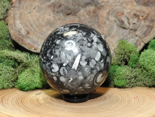 Fossil Sphere - Image 3