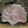 Rose Quartz Shell Bowl