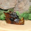 Tiger Eye Dragon Head