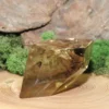 Smokey Citrine Freeform