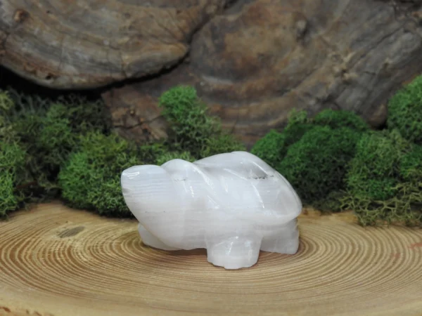 Mangano Calcite Turtle