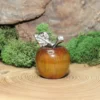 Tiger Eye Apple