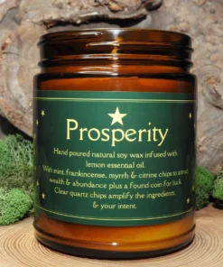 Prosperity Soy Candle--Made in Canada