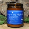 Silver Lady of the Night Sky Soy Candle
