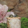 Sterling Silver Size Ring-Size 5