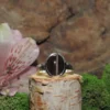 Cat's Eye (chrysoberyl) Sterling Silver Ring-Size 7