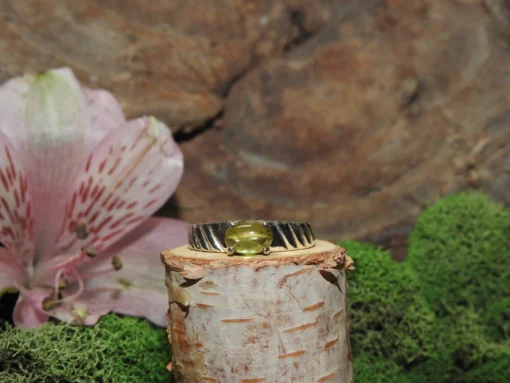Peridot Sterling Silver Ring-Size 7