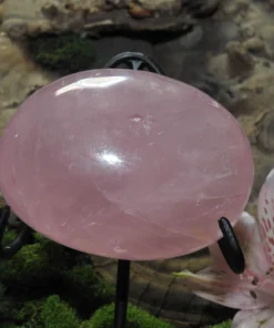 Rose Quartz Palm Stone