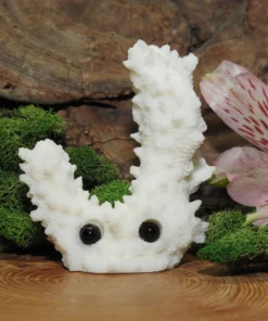 Coral Critter