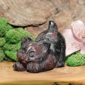 Garnet Cat