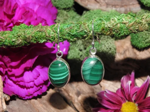 Malachite .925 Sterling Silver Earrings