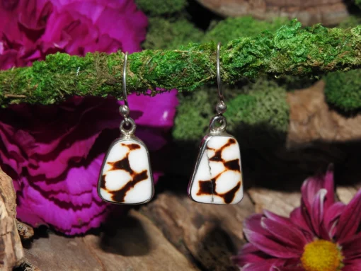 Conus Shell .925 Sterling Silver Earrings