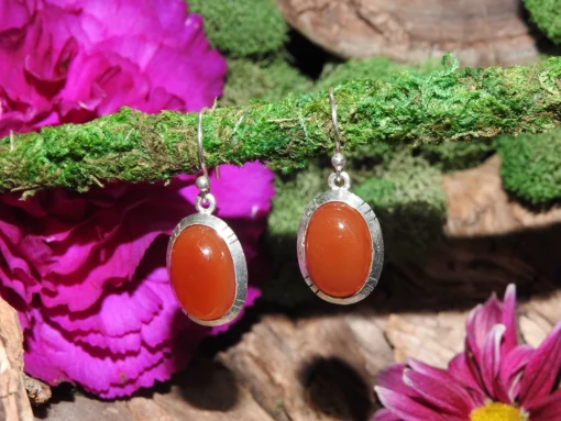 Carnelian .925 Sterling Silver Earrings