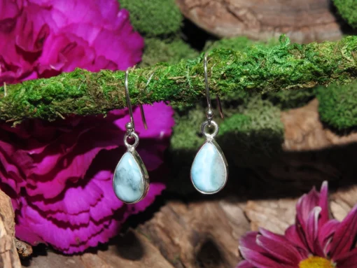 Larimar .925 Sterling Silver Earrings