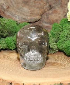 Chlorite in Quartz Skull (Garden Quartz)