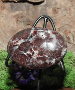 Garnet in Biotite Palm Stone
