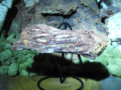 Blue Kyanite -Raw - Image 4