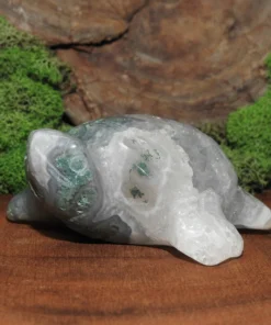 Moss Agate Turtle