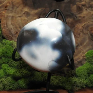 Orca Agate Palm Stone