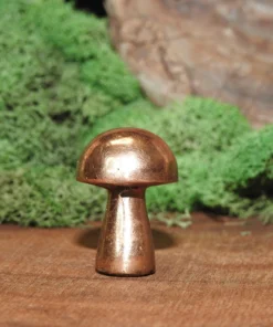 Copper Mushroom