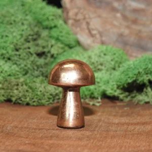 Copper Mushroom