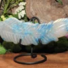 Trolleite Feather