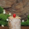 Bamboo Coral .925 Sterling Silver Ring-Size 7.5
