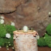 Ethiopian Opal .925 Sterling Ring-Size 5.5