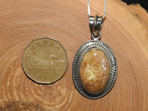 Fossilized Petoskey Coral .925 Silver Pendant - Image 4