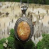 Fossilized Petoskey Coral .925 Silver Pendant