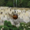 Tiger Eye .925 Silver Pendant