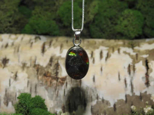 Ammolite .925 Silver Pendant - Image 3