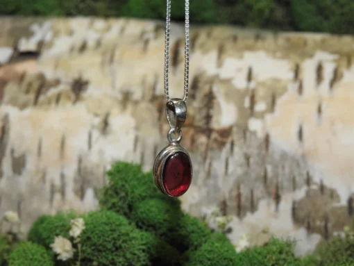 Garnet .925 Silver Pendant - Image 4