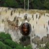 Fire Agate .925 Silver Pendant